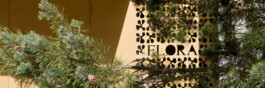 Haus Flora Logo Atelier Freienstein