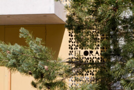 Mehrfamilienhaus Flora in Schwanden Logo Atelier Freienstein