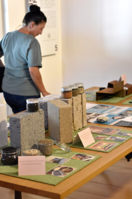 Denk Mal Glarus Ausstellung Freuelerpalast Atelier Freienstein Logo Atelier Freienstein