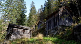 Gadenlandschaft Bachghaltigen Elm Logo Atelier Freienstein